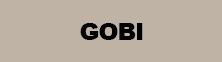 Gobi Color Bar